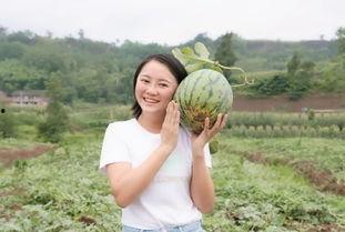 座等吃瓜